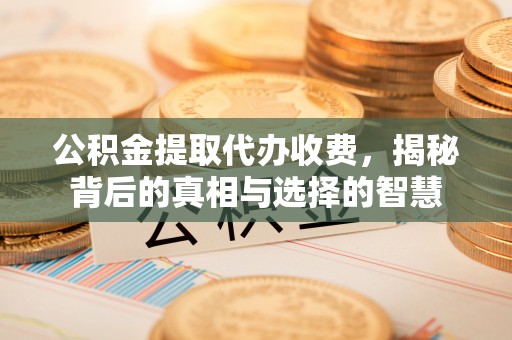 桓仁公积金提取代办收费，揭秘背后的真相与选择的智慧