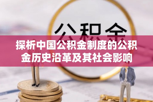 桓仁探析中国公积金制度的公积金历史沿革及其社会影响