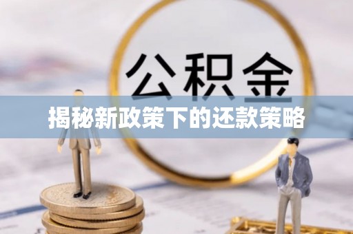 桓仁揭秘新政策下的还款策略