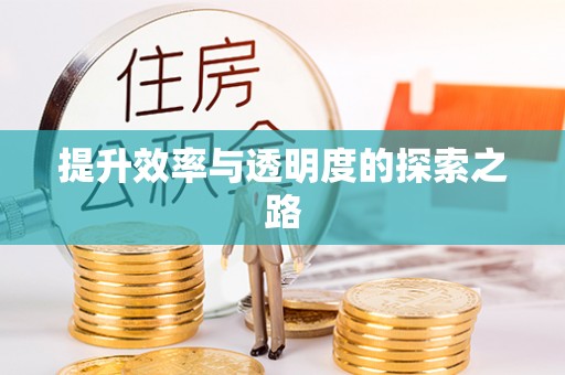 桓仁提升效率与透明度的探索之路