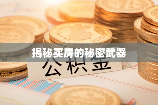 桓仁揭秘买房的秘密武器