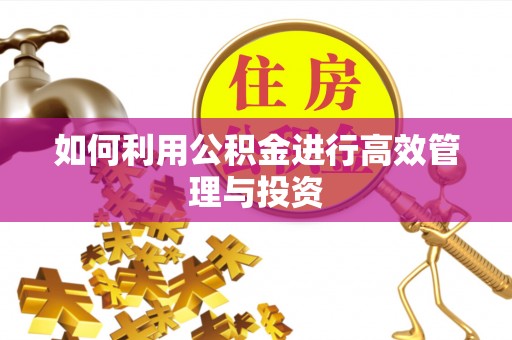 桓仁如何利用公积金进行高效管理与投资
