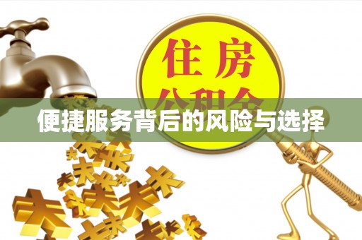 桓仁便捷服务背后的风险与选择