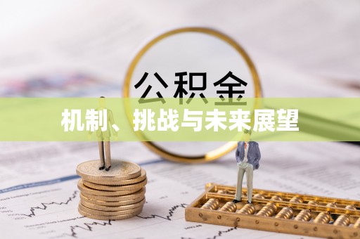 桓仁机制、挑战与未来展望