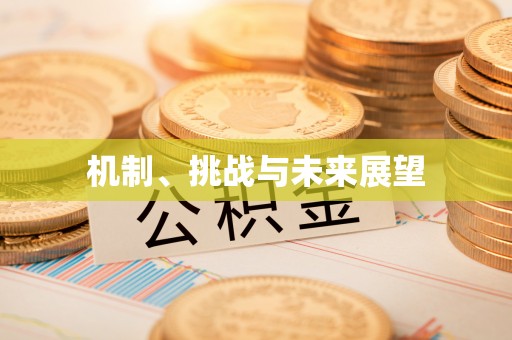 桓仁机制、挑战与未来展望